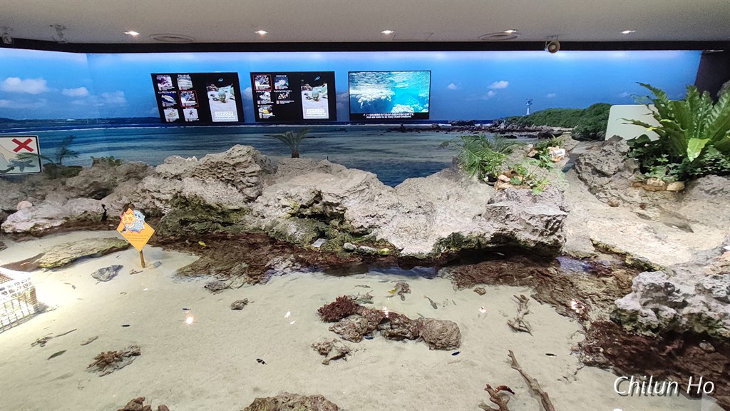 沖縄美ら海水族館